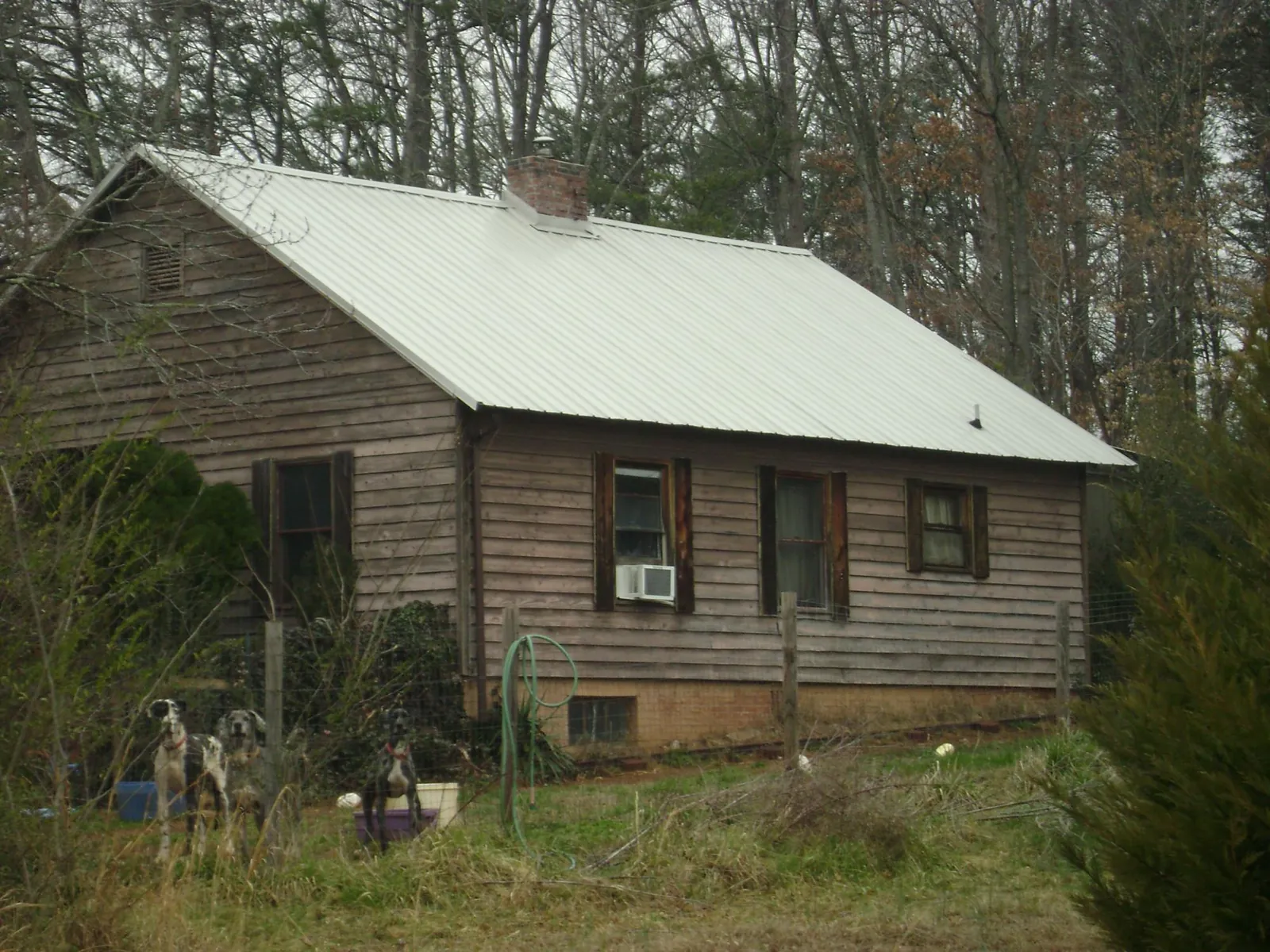 White metal roof on an old wood sided farmhouse, from a Metal Roof Installation job in West Hyannisport